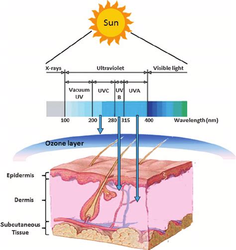 Sunsern coverage reveal uv matic mirror